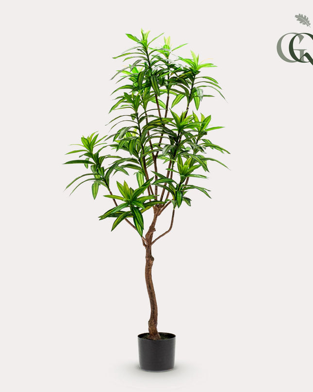 Kunstplant - Dracaena - Drakenboom - ↕ 130 cm