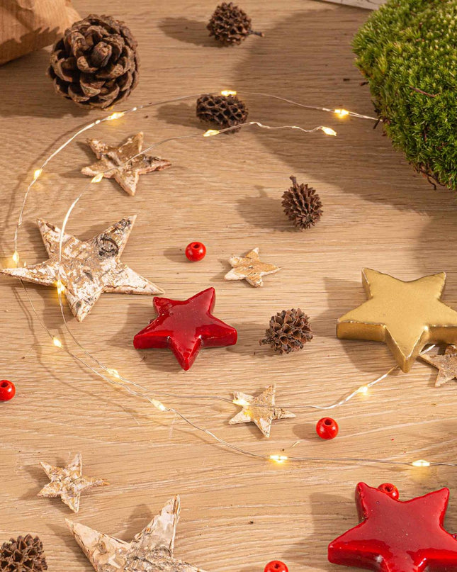 DIY Kerst Terrarium - Mini-kerstboom  - Planten terrarium pakket - 3 planten -  Navulling & Startpakket