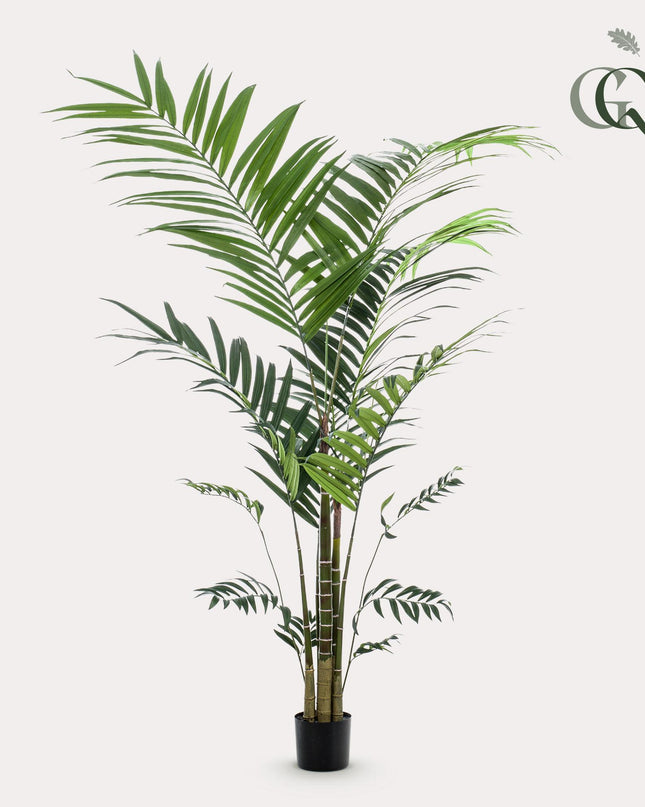 Kunstplant - Kentia -Kentiapalm - ↕ 210cm