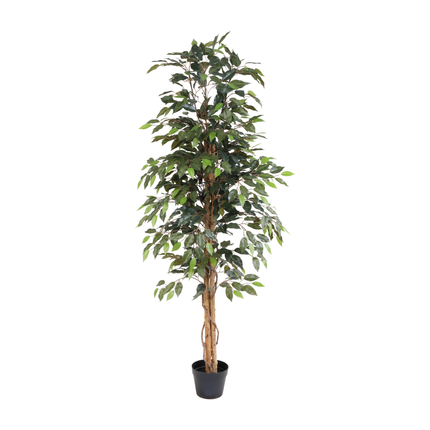 Planta artificial Ficus Benjamina - 160cm