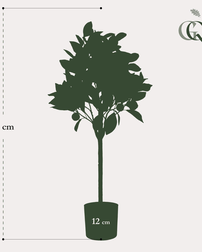 Kunstplant - Citrus Sinensis - Sinaasappelboom - ↕ 75 cm