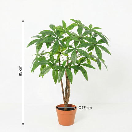 Planta artificial Pachira Acuática - 85cm