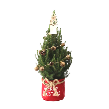 Kleine Kerstboom in Xmas Bag rood + Pine cone lichtjes incl. batterijen - 70 cm - Picea Glauca Conica -