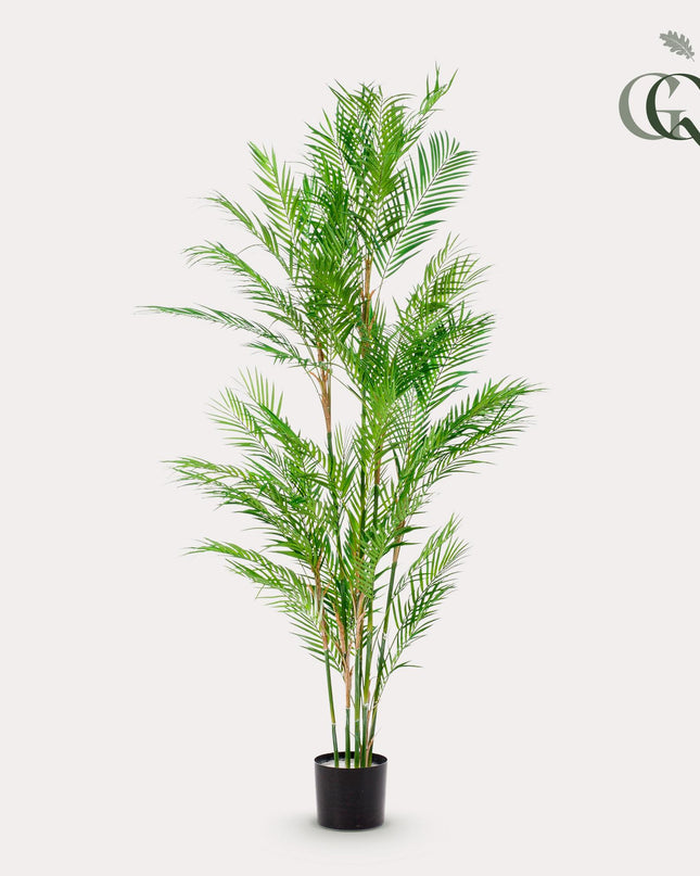 Kunstplant - Chamaedorea Elegans - Bergpalm - ↕ 180 cm