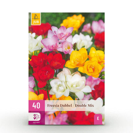 Bloembollen - Freesia Double Mix - Diversen Kleuren - 40 stuks - Bolmaat 5/6 - XXL Pack