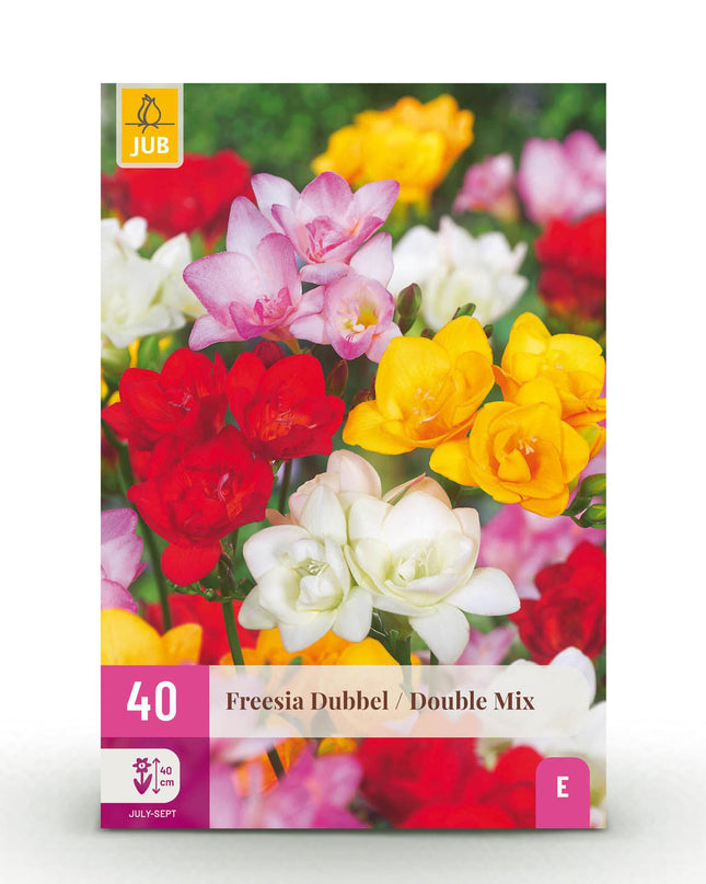 Bloembollen - Freesia Double Mix - Diversen Kleuren - 40 stuks - Bolmaat 5/6 - XXL Pack
