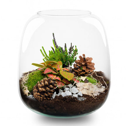 Kerstmis terrarium - Planten terrarium  - DIY kit Christmas - Ø 19 cm ↑ 20 cm
