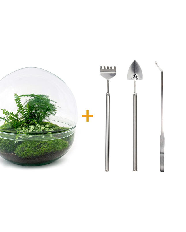 DIY Planten terrarium tweedelig bolglas - Dome XL -Ø 28 cm ↑ 28 cm - Rake + Shovel + Tweezer