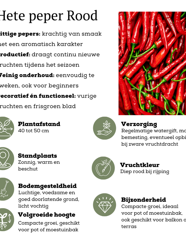 Red Harvest Vegetable Mix of 3 Plants - Cherry Tomato - Red Snack Pepper - Red Hot Pepper Plant - Ø 14 cm - ↨ 45 cm