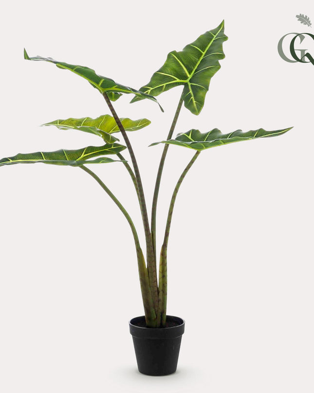 Kunstplant - Alocasia Frydek - Olifantsoor - ↕ 80 cm