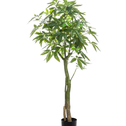 Kunstplant - Pachira Aquatica - Geldboom - ↕ 150 cm