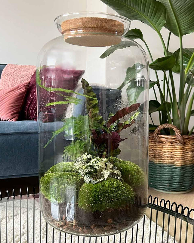 DIY Planten terrarium met licht - Sven XL Botanical - Ø 23 cm ↕ 43 cm - Rake + Shovel + Tweezer + Scissors