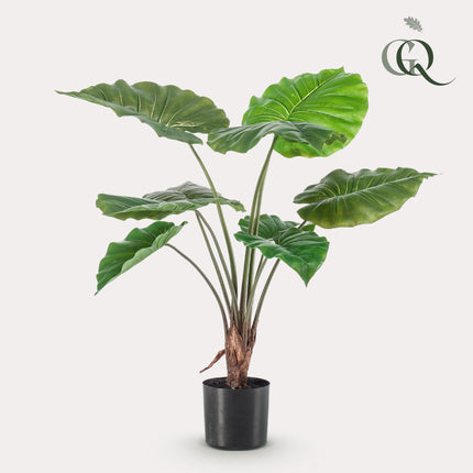 Kunstplant - Alocasia - Olifantsoor - ↕ 70 cm