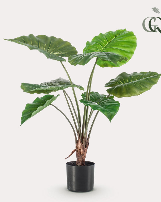 Kunstplant - Alocasia - Olifantsoor - ↕ 70 cm