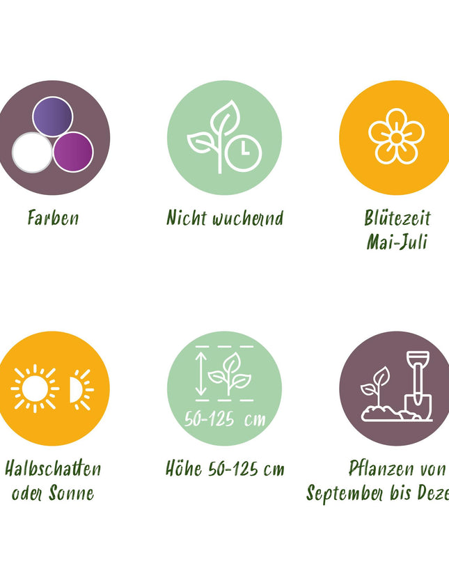 Bloembollen - Bulb Garden Allium mix - Diversen Kleuren - 80 stuks - Gift Verpakking