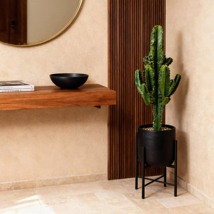 Euphorbia eritrea - Afrikanischer Milchbaum 2 Stück - Topf 17 cm - Höhe 60 cm