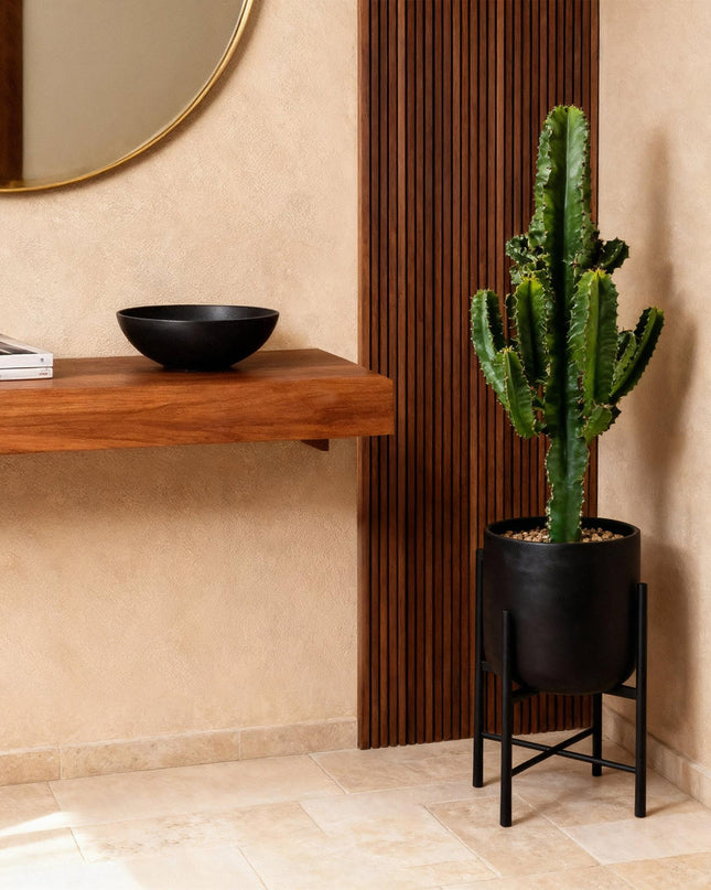 Euphorbia eritrea - Afrikanischer Milchbaum 2 Stück - Topf 17 cm - Höhe 60 cm