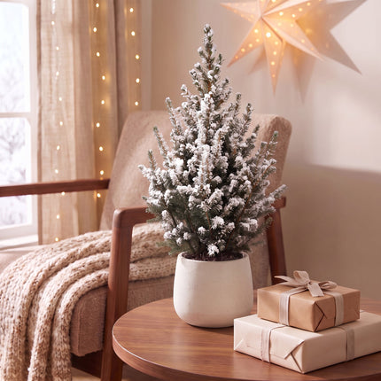 4x Kerstboom Picea glauca Conica - Kegelspar - Ø17cm - ↕65cm