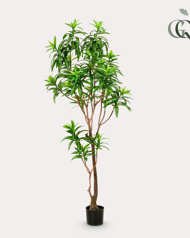 Kunstplant - Dracaena - Drakenboom - ↕ 190 cm