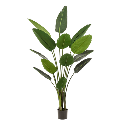Kunstplant - Strelitzia Nicolai - Paradijsvogelbloem - ↕ 190 cm