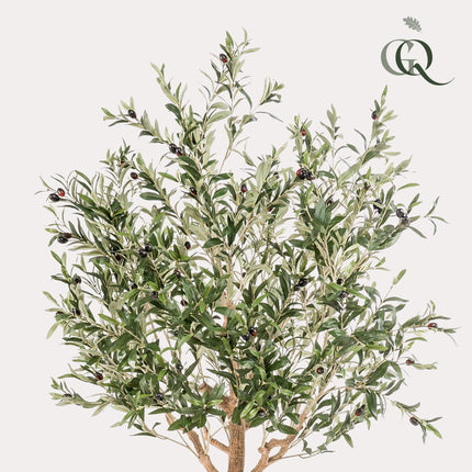 Kunst Olijfboom -  Olea europaea - Olijfboom - ↕ 180 cm