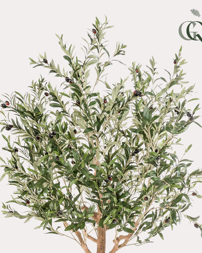 Kunst Olijfboom -  Olea europaea - Olijfboom - ↕ 180 cm