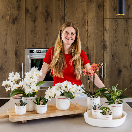 Orchidee | Set regalo 'ti amo' | Orchidee Phalaenopsis rosse Congo con pianta verde in vasi decorativi a forma di cuore su piatto Cloud