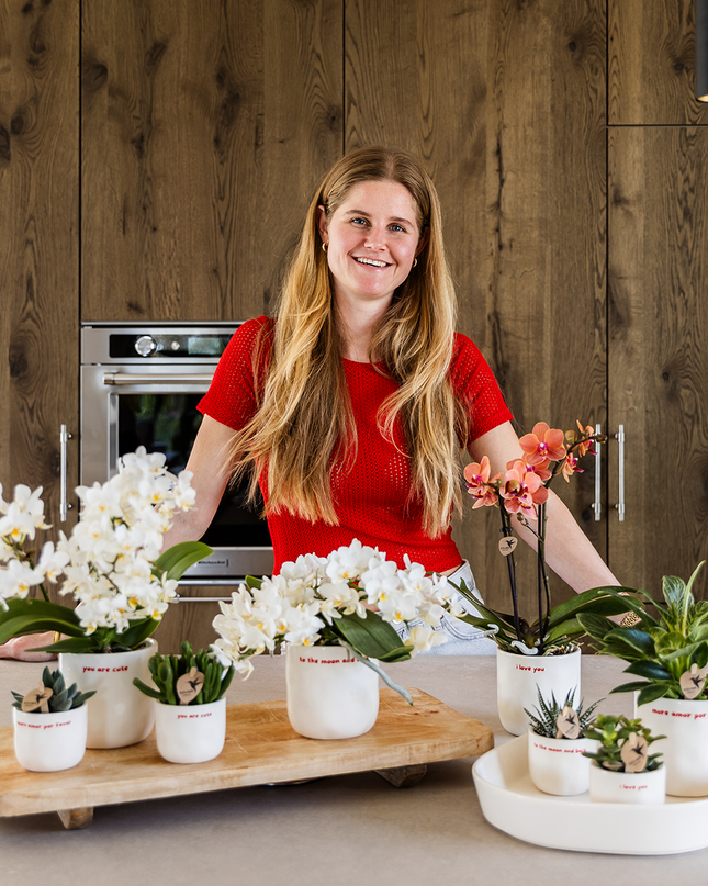 Orchid | Gift set 'love you' | Red Phalaenopsis orchid Congo with green plant in love decorative pots on Cloud plate