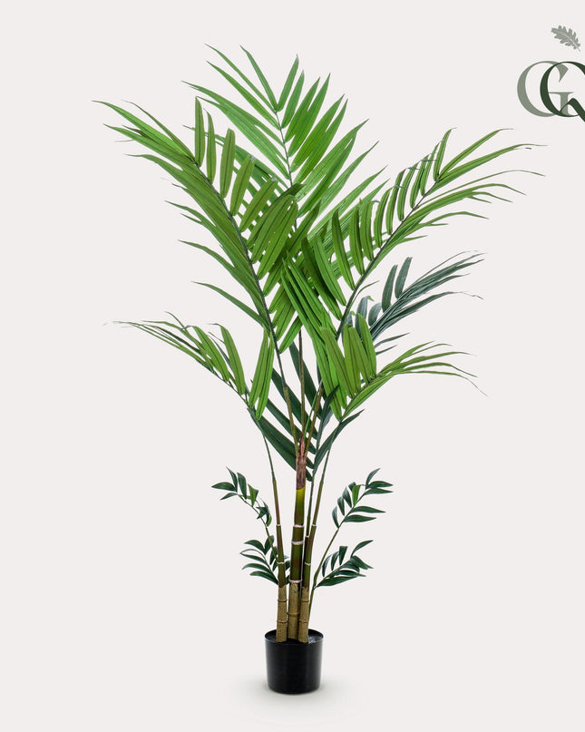 Kunstplant - Kentia -Kentiapalm - ↕ 180 cm