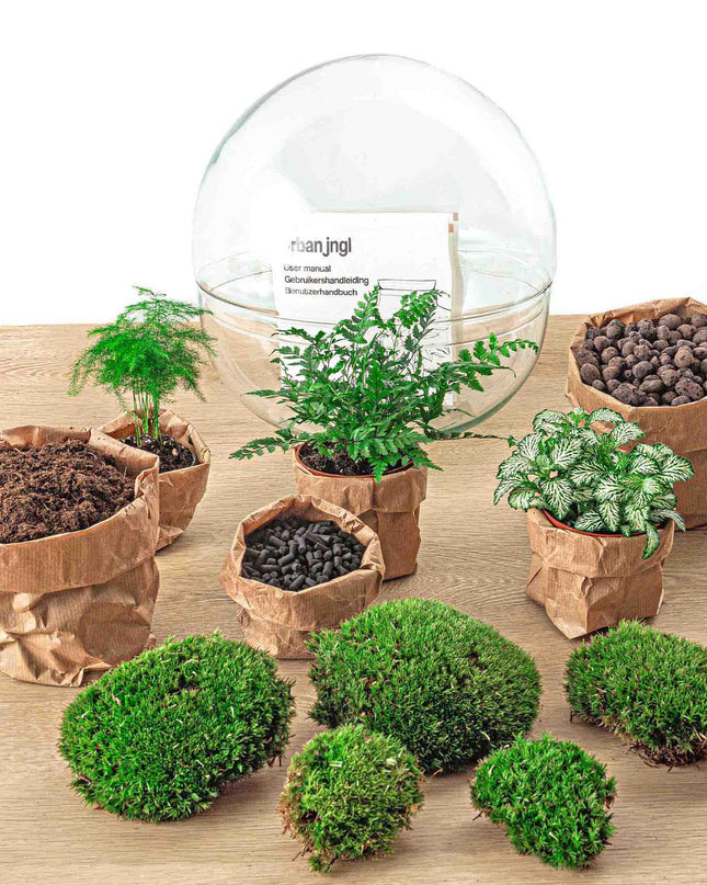 DIY Planten terrarium tweedelig bolglas - Dome XL -Ø 28 cm ↑ 28 cm - Rake + Shovel + Tweezer