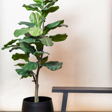 Kunstplant - Ficus Lyrata - Tabaksplant - ↕ 120 cm