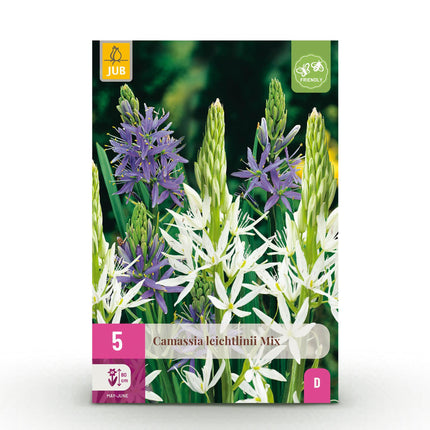 Bloembollen - Camassia Leichtlinii Mix - Kleur Paars en Wit - 5 stuks - Bolmaat 12/14 - XXL Pack