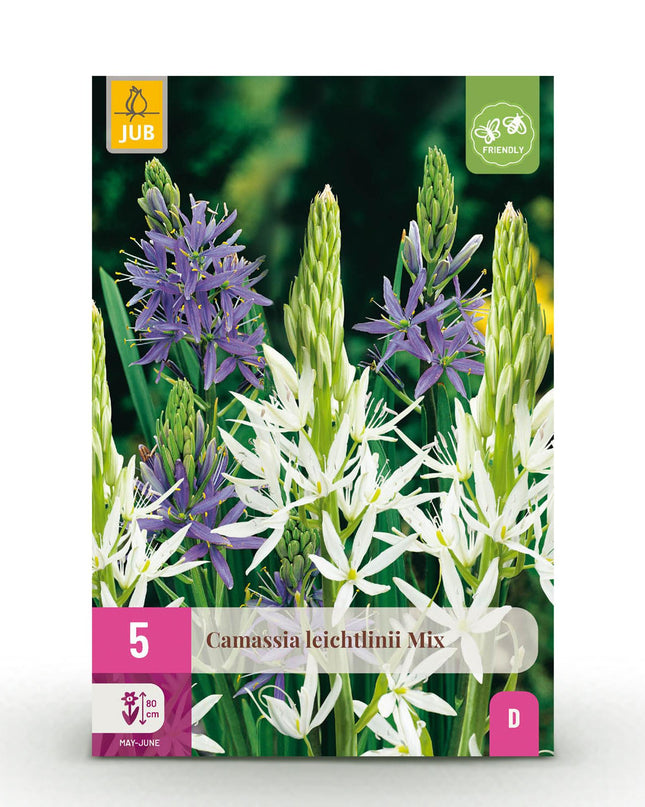 Bloembollen - Camassia Leichtlinii Mix - Kleur Paars en Wit - 5 stuks - Bolmaat 12/14 - XXL Pack