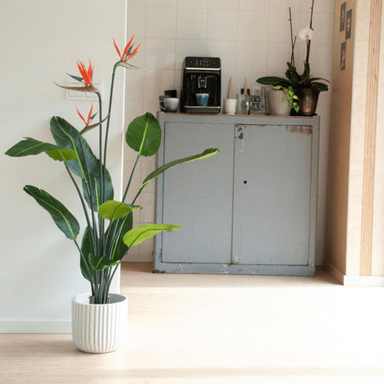Kunstplant - Strelitzia met bloemen - ↕ 120cm - In zwarte pot