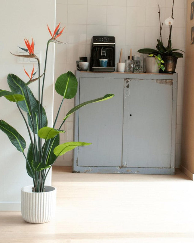 Kunstplant - Strelitzia met bloemen - ↕ 120cm - In zwarte pot