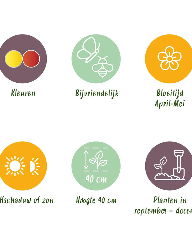 Bloembollen - Fritillaria Imperialis Mix - Kleur Geel en Oranje - 3 stuks - Bolmaat 18/20 - XXL Pack