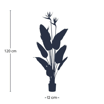 Kunstplant - Strelitzia met bloemen - ↕ 120cm - In zwarte pot