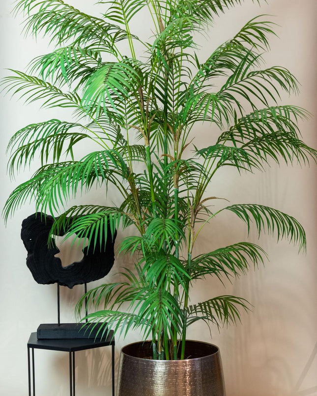 Kunstplant - Chamaedorea Elegans - Bergpalm - ↕ 180 cm