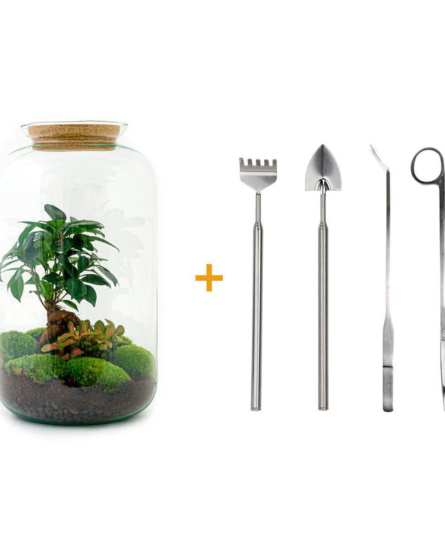 DIY terrarium - Sven Bonsai - ↕ 43 cm - Rake + Shovel + Tweezer + Scissors