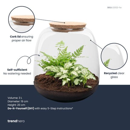 DIY Planten terrarium - Emma Mini - ↕ 20 cm - Ø 19 cm - Fittonia White Tiger