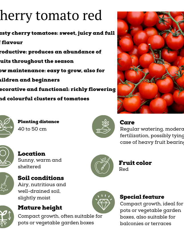Red Harvest Vegetable Mix of 3 Plants - Cherry Tomato - Red Snack Pepper - Red Hot Pepper Plant - Ø 14 cm - ↨ 45 cm