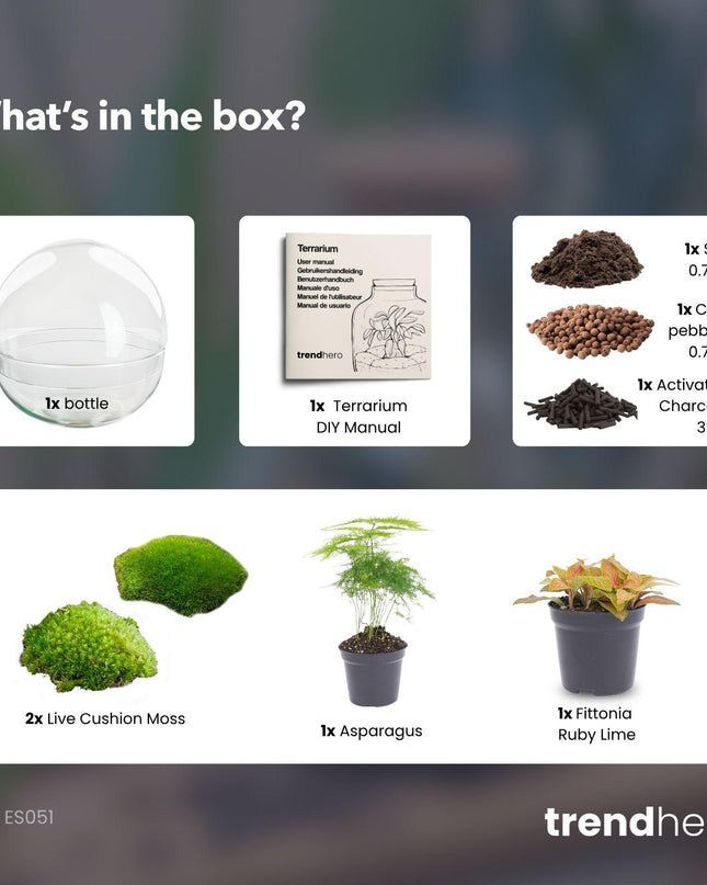 DIY Planten terrarium tweedelig bolglas - Dome Red - Ø 20 cm ↑ 20 cm   - Normal