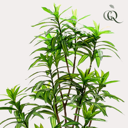 Kunstplant - Dracaena - Drakenboom - ↕ 130 cm