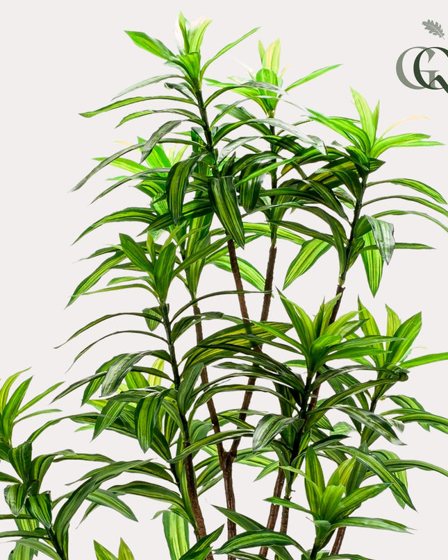 Kunstplant - Dracaena - Drakenboom - ↕ 130 cm