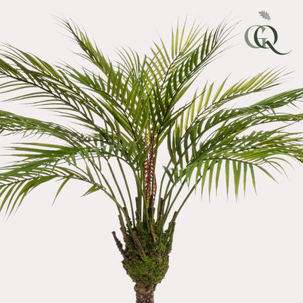Kunstplant - Chamaedorea - Bergpalm - ↕ 85 cm