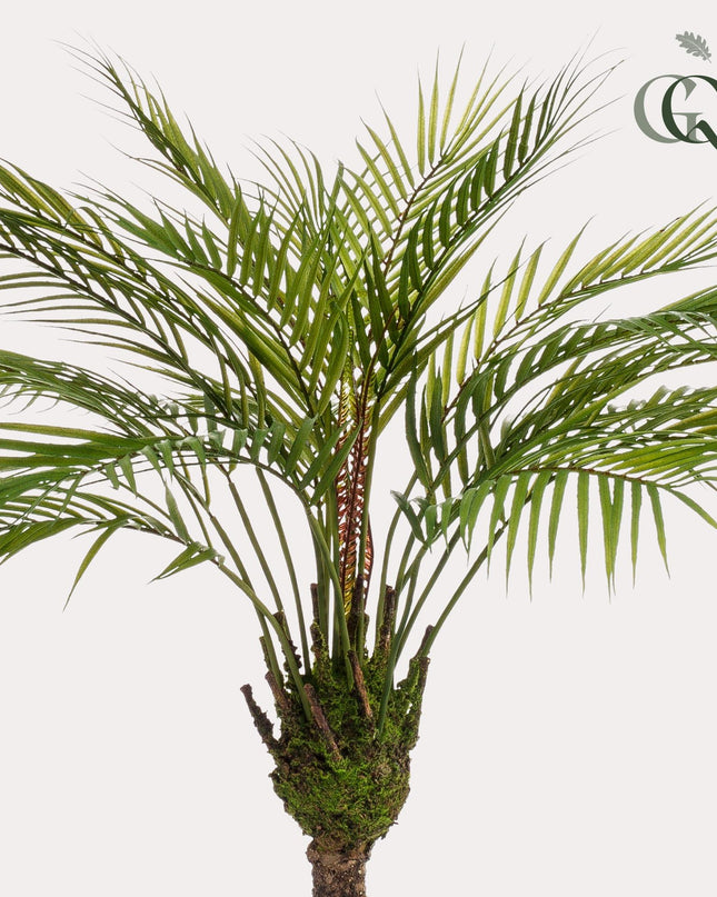 Kunstplant - Chamaedorea - Bergpalm - ↕ 85 cm