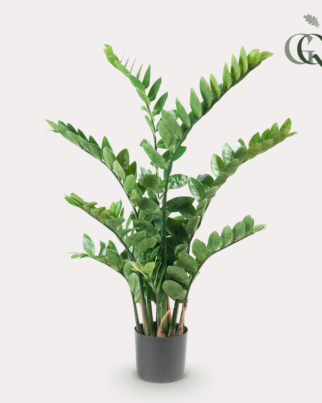 Kunstplant - Zamioculcas - Kamerpalm - 110 cm