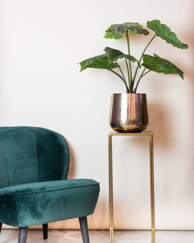 Kunstplant - Alocasia - Olifantsoor - ↕ 70 cm