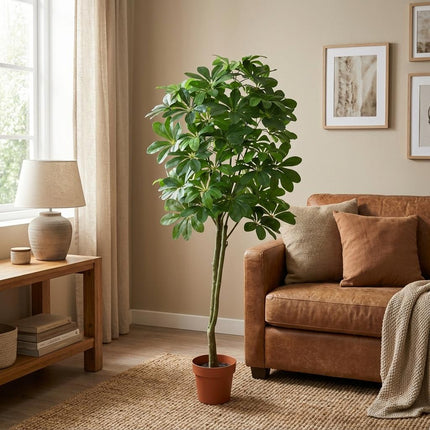 Planta artificial Pachira Aquatica - 150cm
