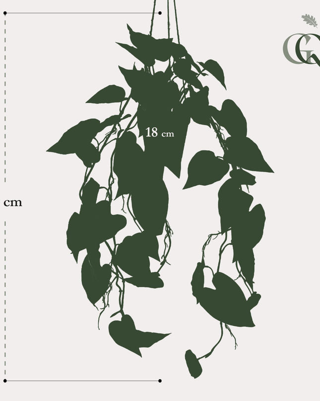 Kunstplant - Philodendron scandens - Klimmende Boomliefhebber - ↕ 80 cm